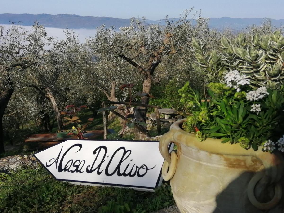 Vila A Casa Di Olivo Castelnuovo Magra Exteriér fotografie