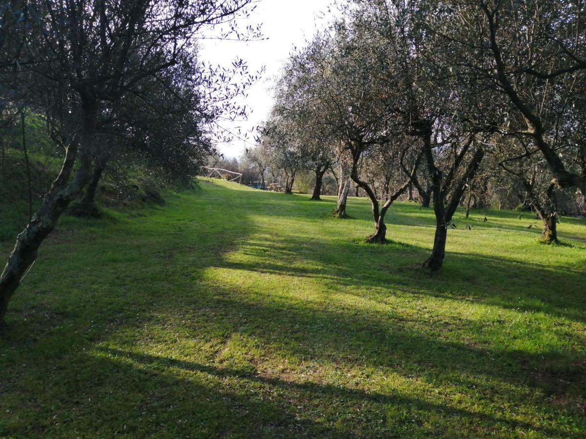 Vila A Casa Di Olivo Castelnuovo Magra Exteriér fotografie