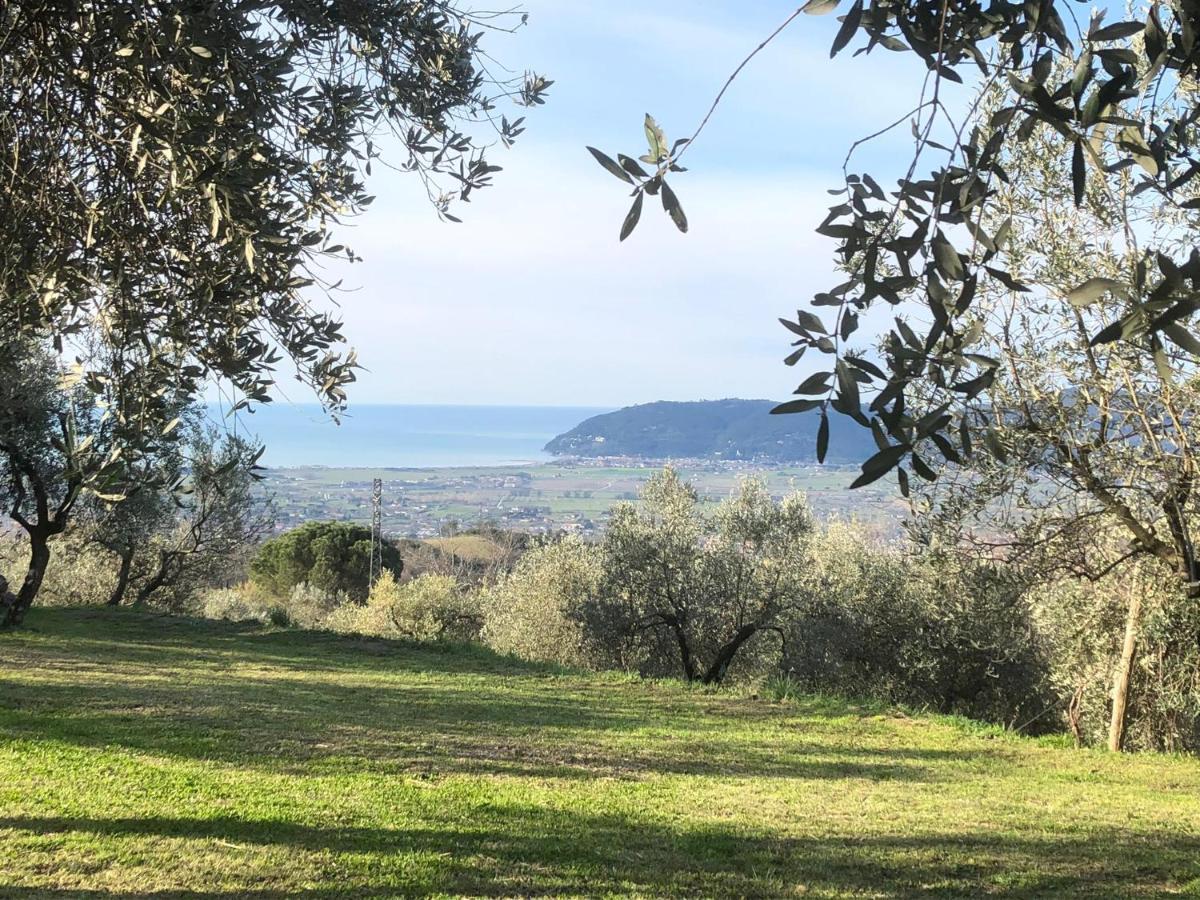 Vila A Casa Di Olivo Castelnuovo Magra Exteriér fotografie