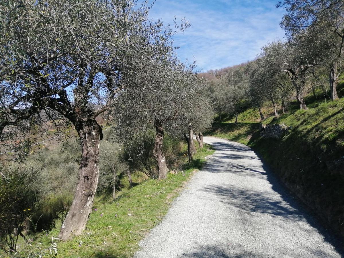 Vila A Casa Di Olivo Castelnuovo Magra Exteriér fotografie