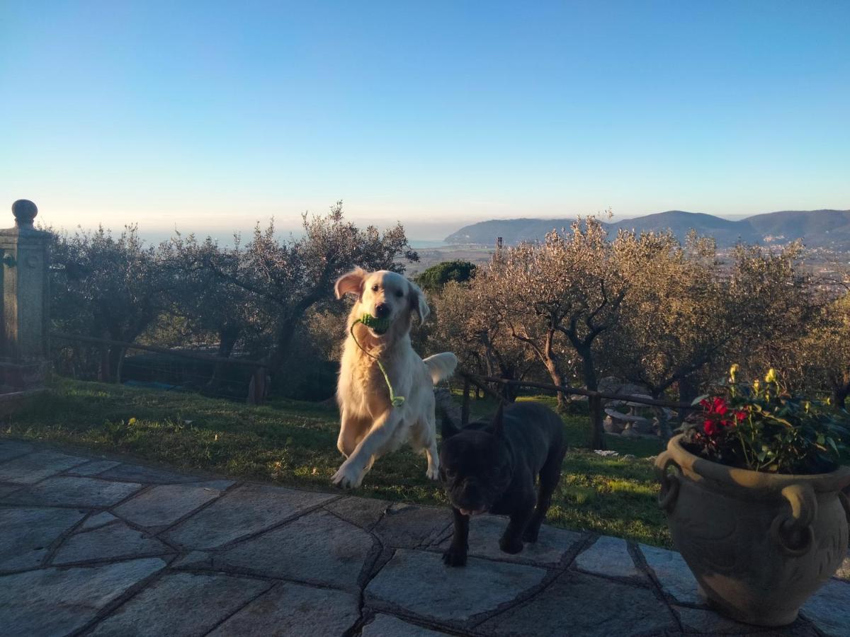 Vila A Casa Di Olivo Castelnuovo Magra Exteriér fotografie