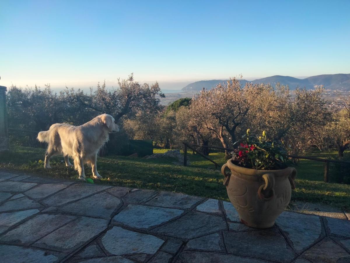 Vila A Casa Di Olivo Castelnuovo Magra Exteriér fotografie