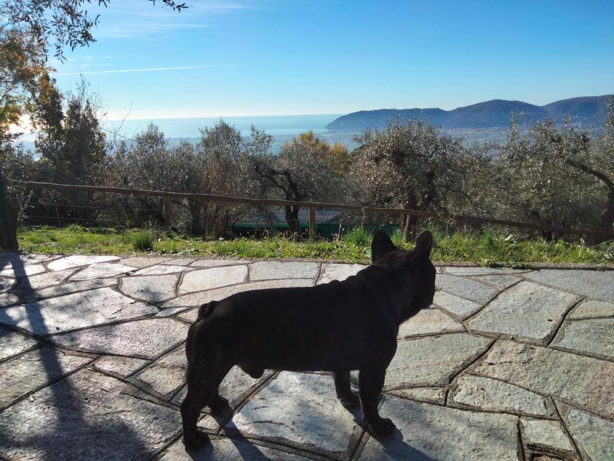 Vila A Casa Di Olivo Castelnuovo Magra Exteriér fotografie