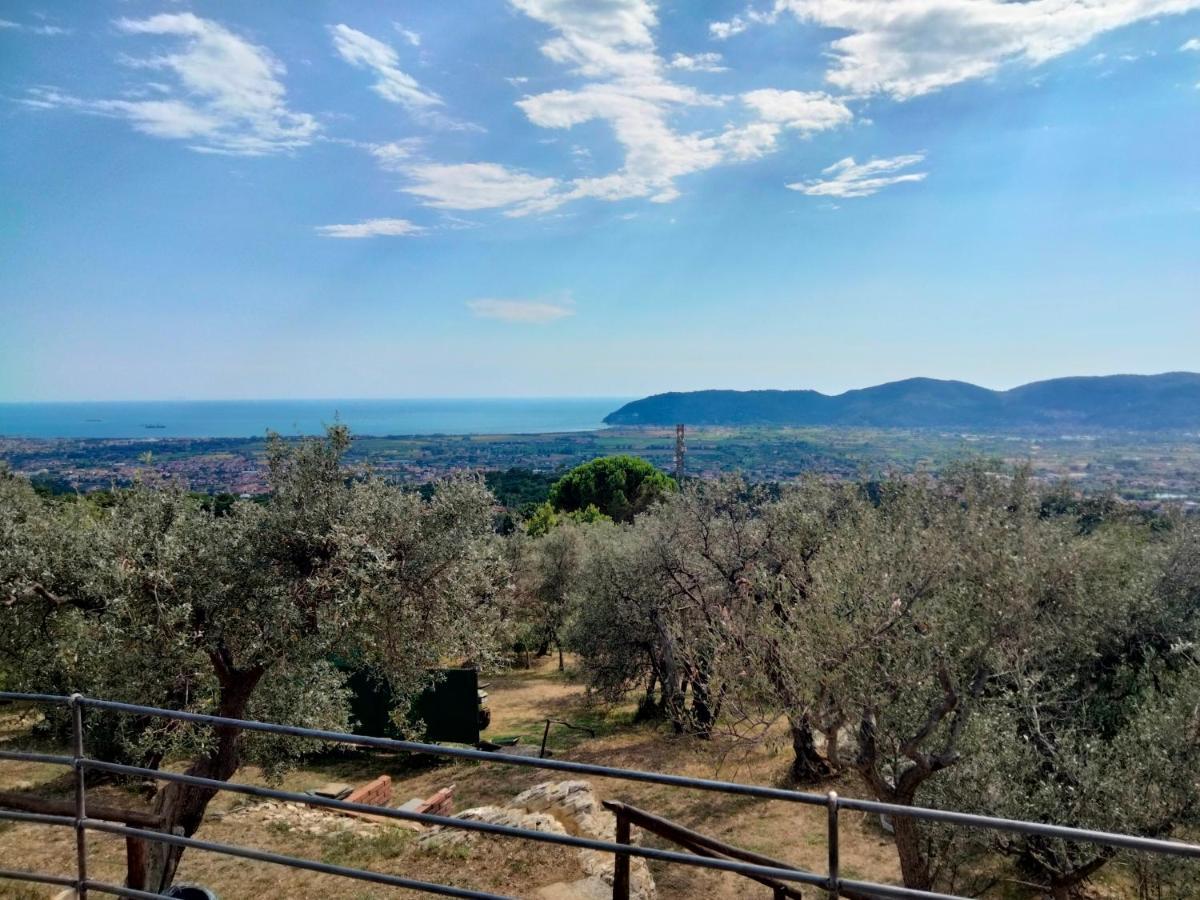 Vila A Casa Di Olivo Castelnuovo Magra Exteriér fotografie