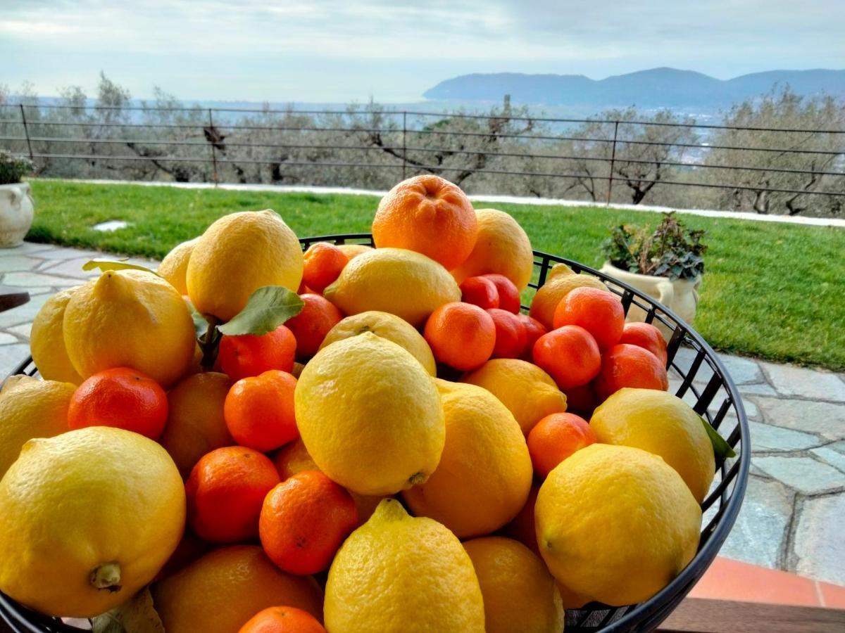 Vila A Casa Di Olivo Castelnuovo Magra Exteriér fotografie