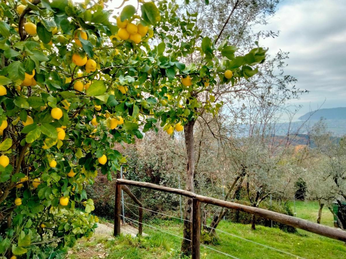 Vila A Casa Di Olivo Castelnuovo Magra Exteriér fotografie