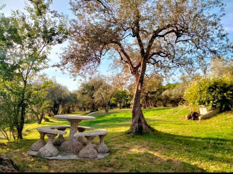 Vila A Casa Di Olivo Castelnuovo Magra Exteriér fotografie